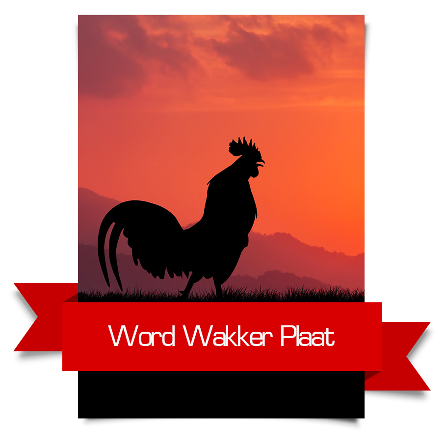 Word Wakker Plaat